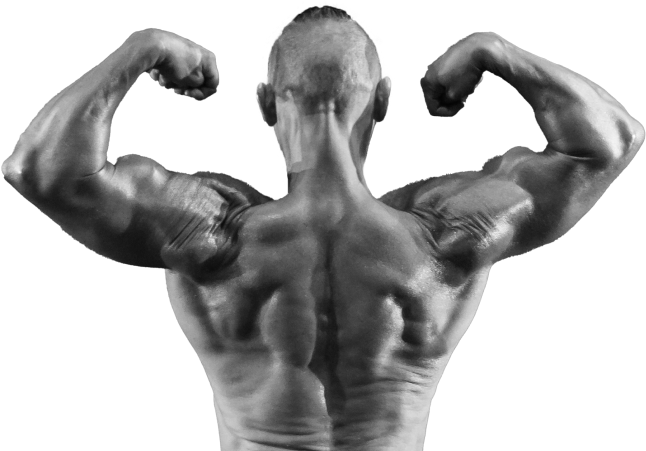 back body
